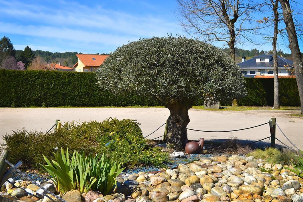 Hotel Os Caracoles Pereiro de Aguiar 외부 사진